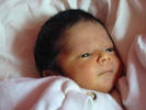 William EYES up THE world %21